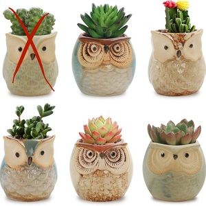 2.5" Ceramic Owl Planter/Pot with 2.5" Round Bamboo Tray (5 pcs)